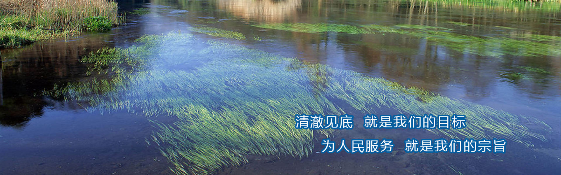 浙江水生态修复专业委员会
